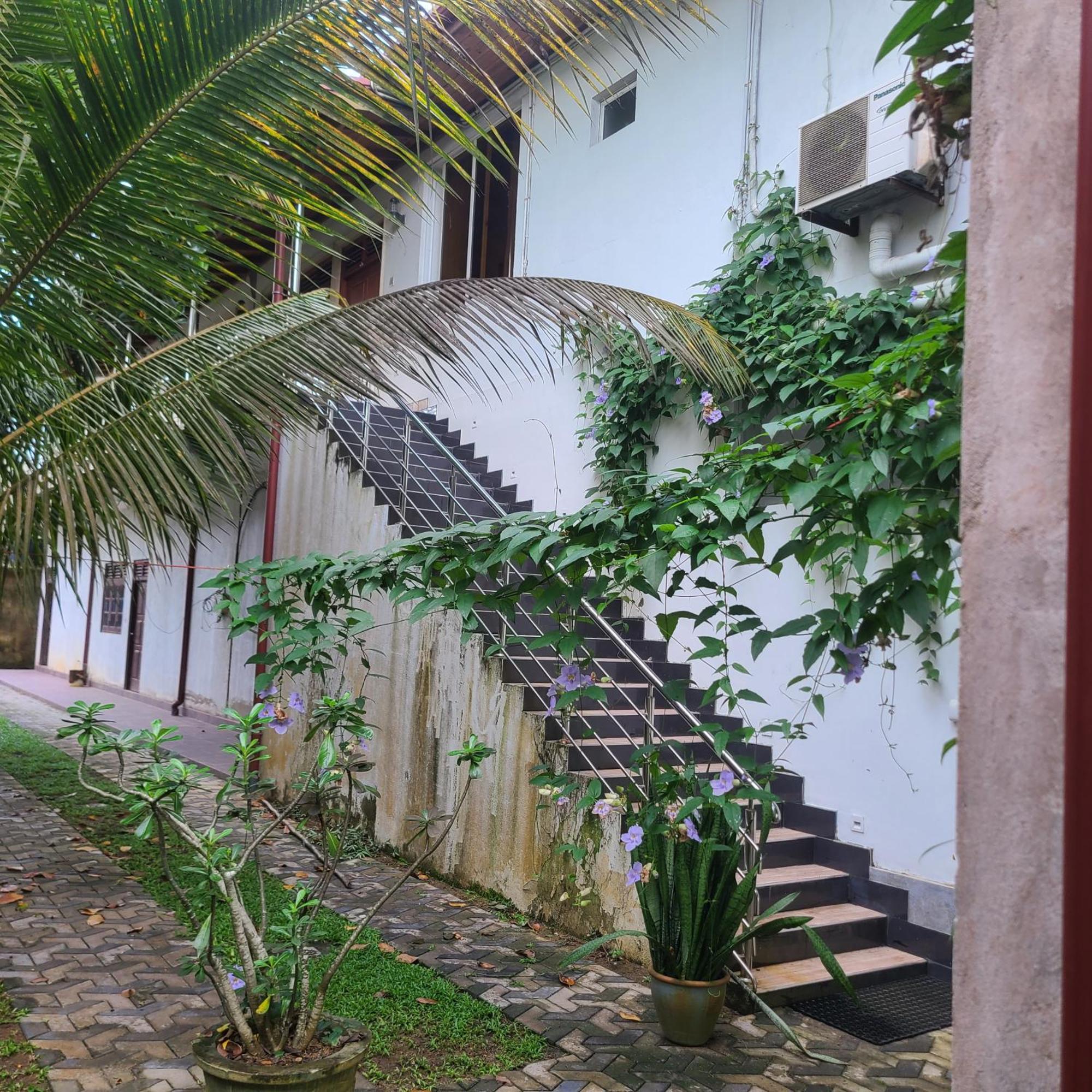 Gg Lodge Mirissa Exterior photo